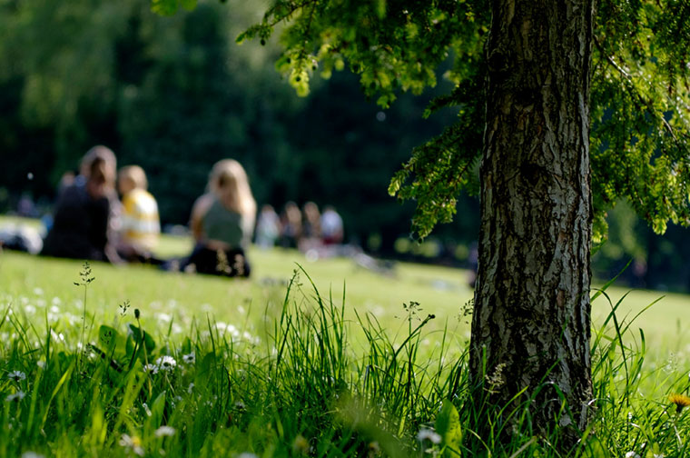 Vynckier neighbourhood parks